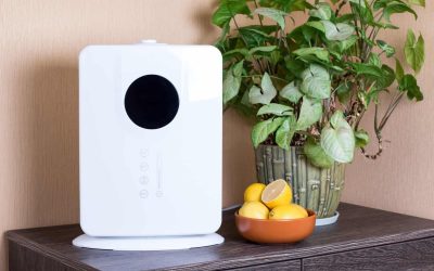 Improve Indoor Air Quality: Unique Solutions for Your Home or Business