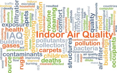 Signs of Poor Air Quality: How to Know If Your Home Needs HVAC Services